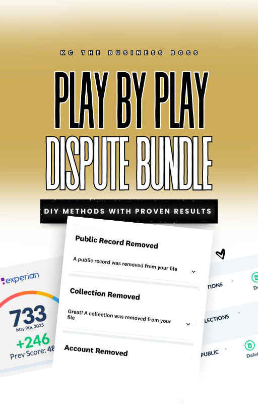 THE PLAY BY PLAY DISPUTE BUNDLE-DIY